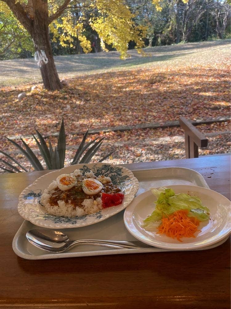 愛知県陶磁美術館カフェ