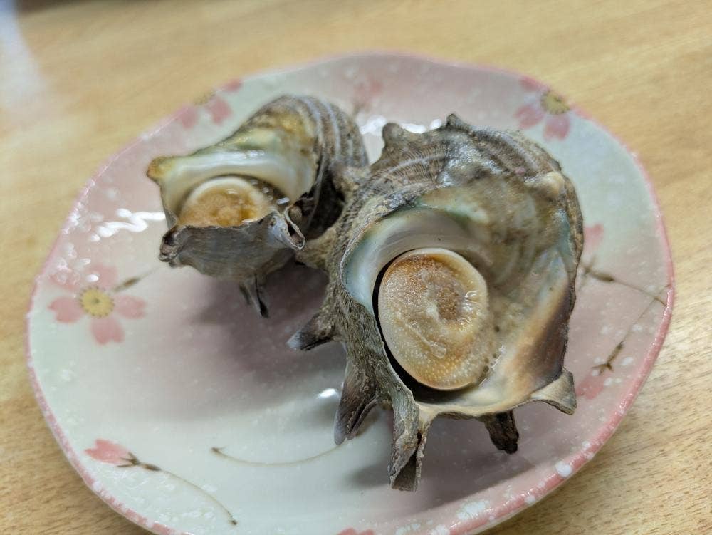 水沼さざゑ店