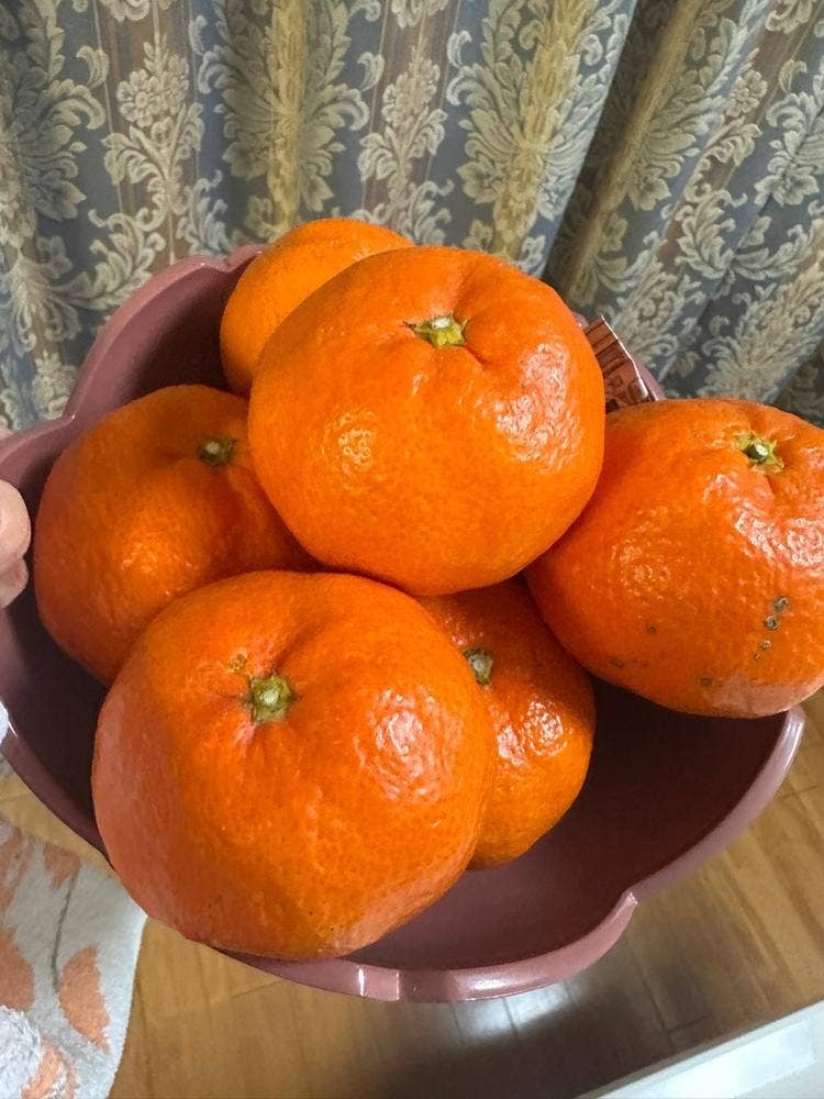 オレンジハウス