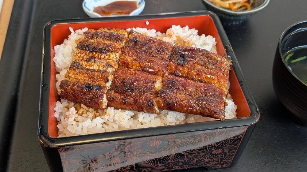 うなぎの里 うな春