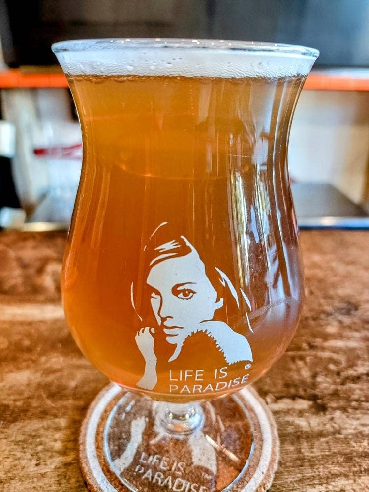 Paradise beer factory