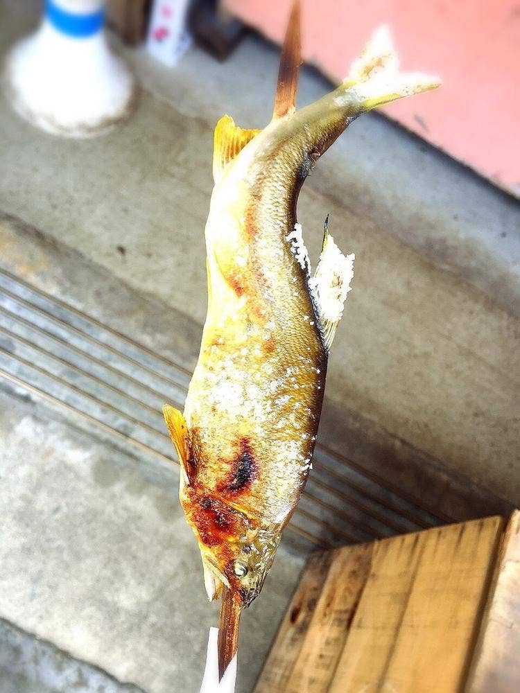 ひらくす