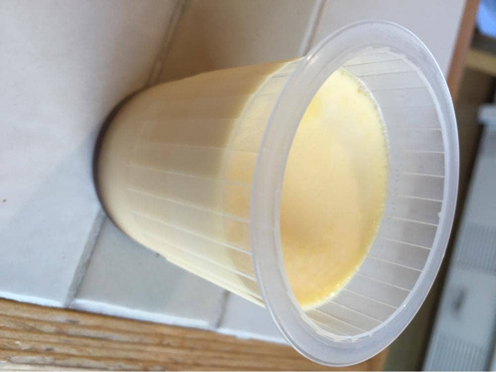 コナズ パパ 金岡公園店