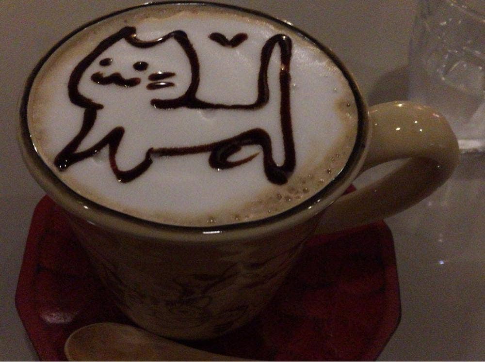 猫カフェなーごなーご