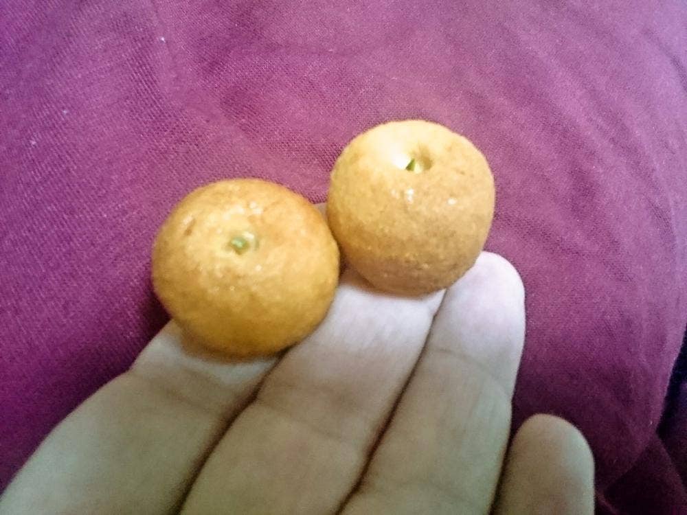焼き菓子工房ポムム