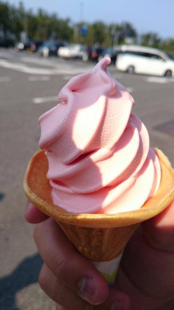 レストインだいば 道の駅大栄