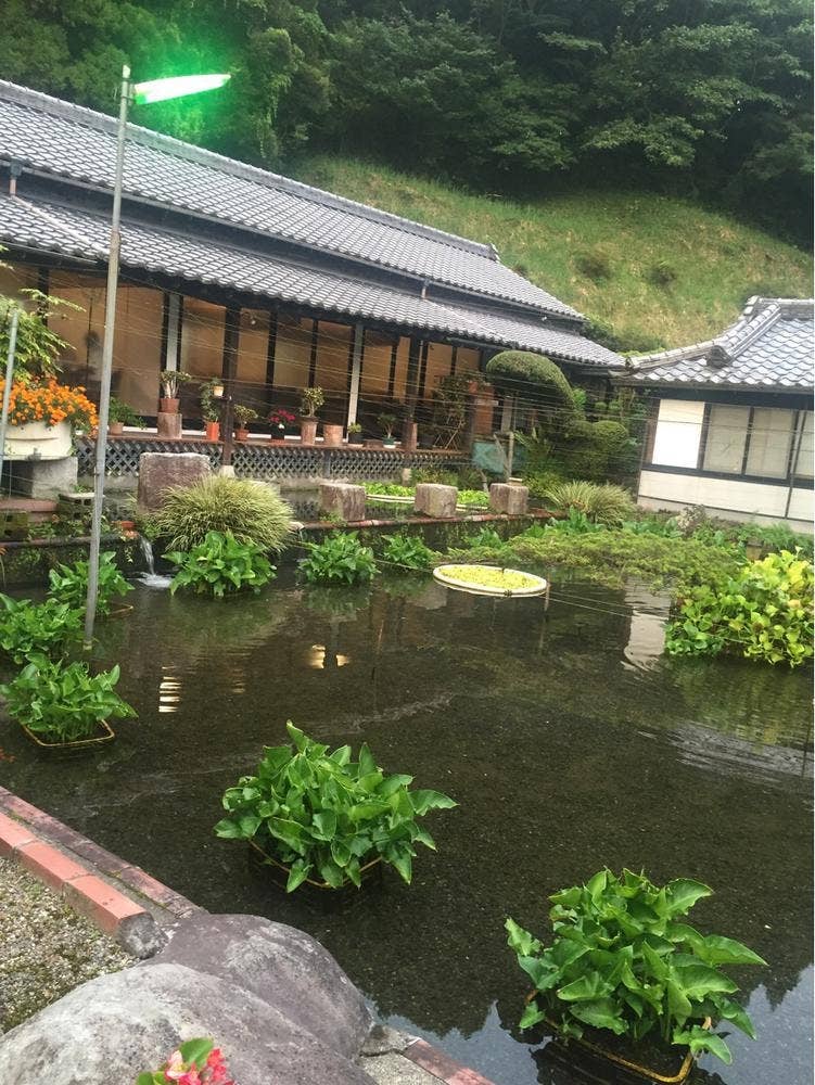 池山養魚場