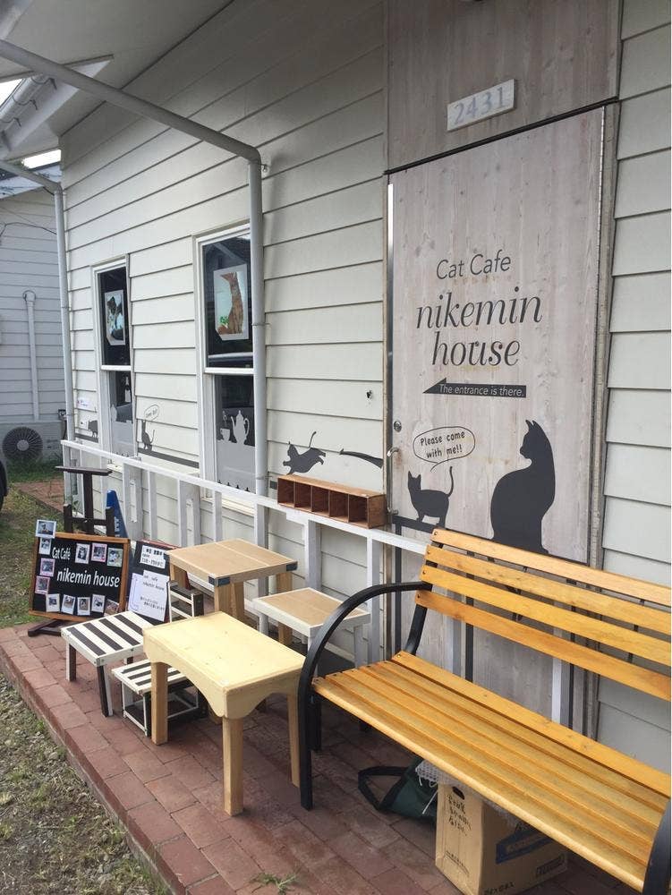 Cat Café nikemin house