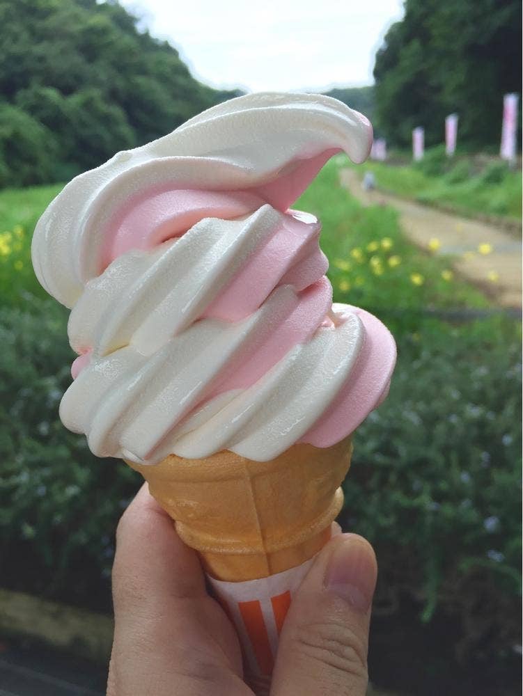 コスモス館 くりはま花の国