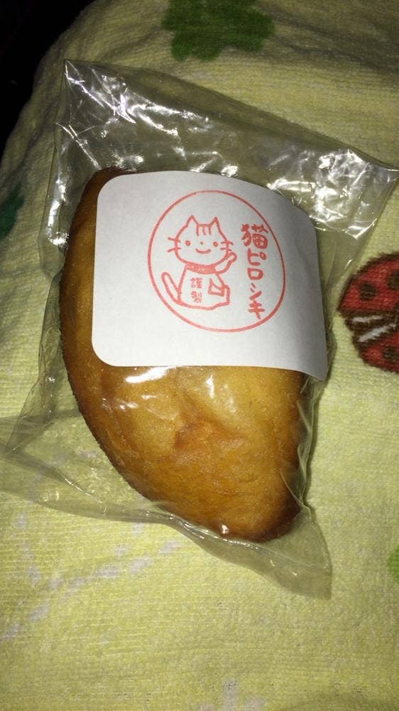 猫ぱん