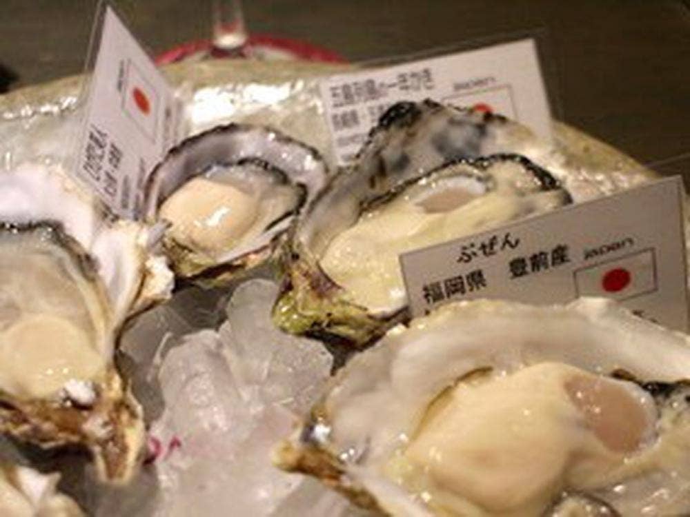 oyster&wine ESTOMAGO