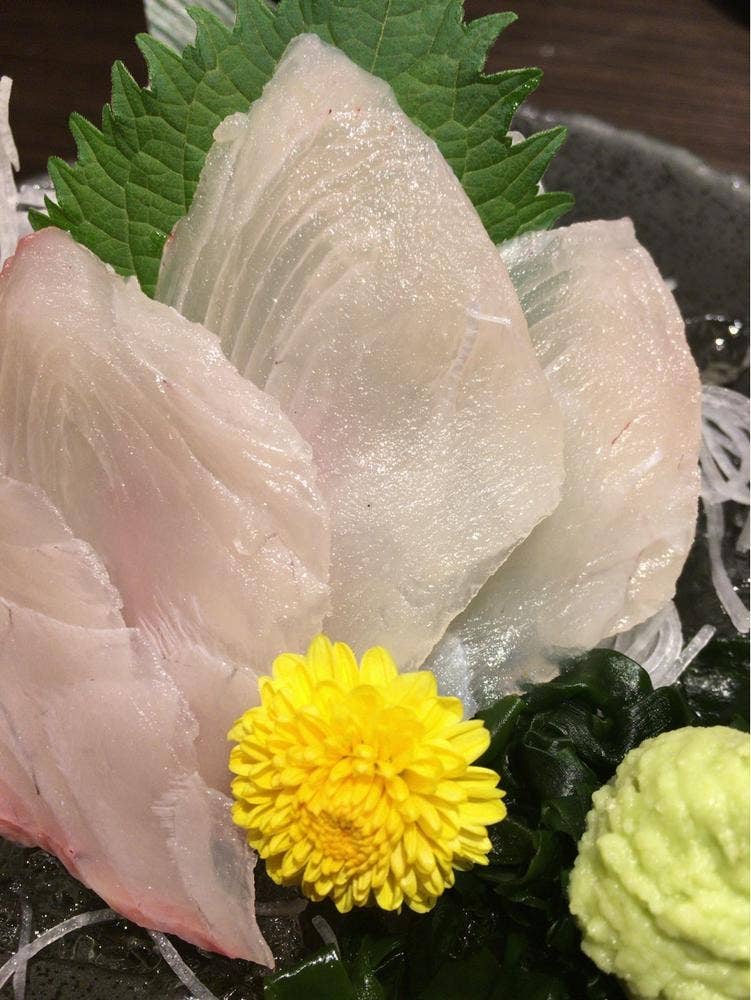 銚子漁港直送さかなや道場 大網白里店