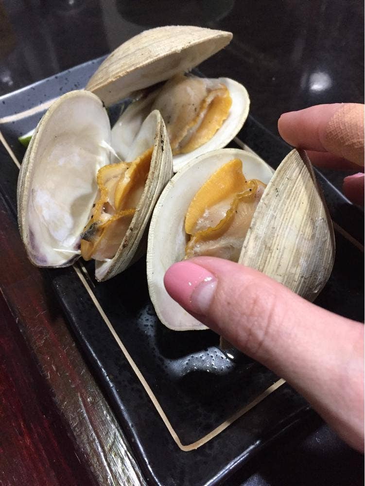 鳥八