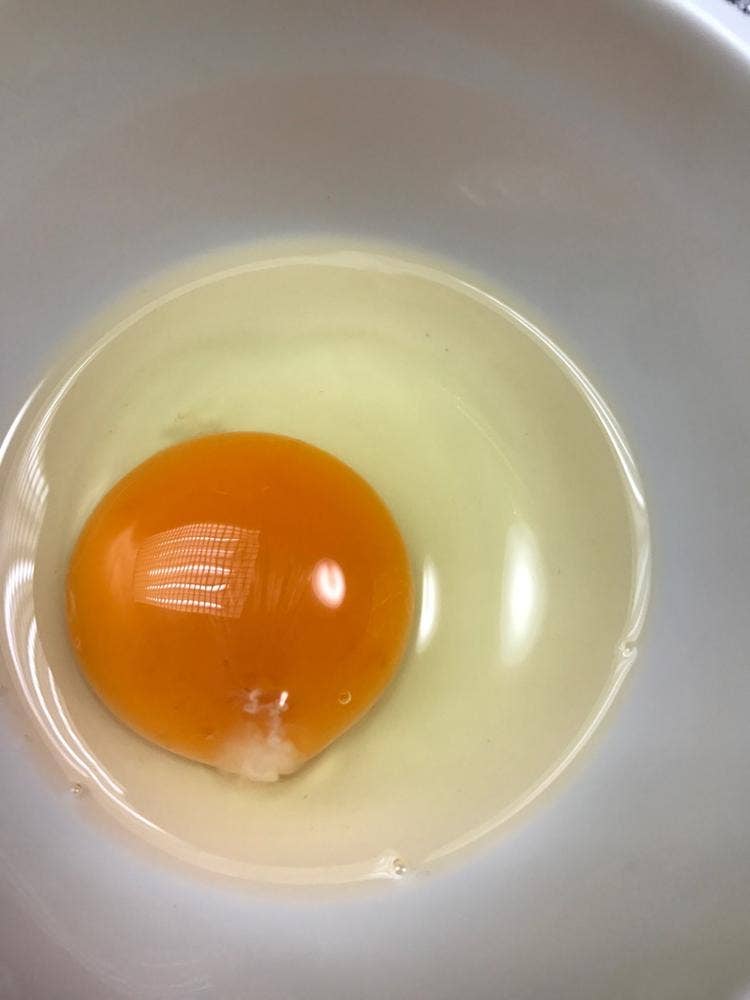 長生たまご館 府中店