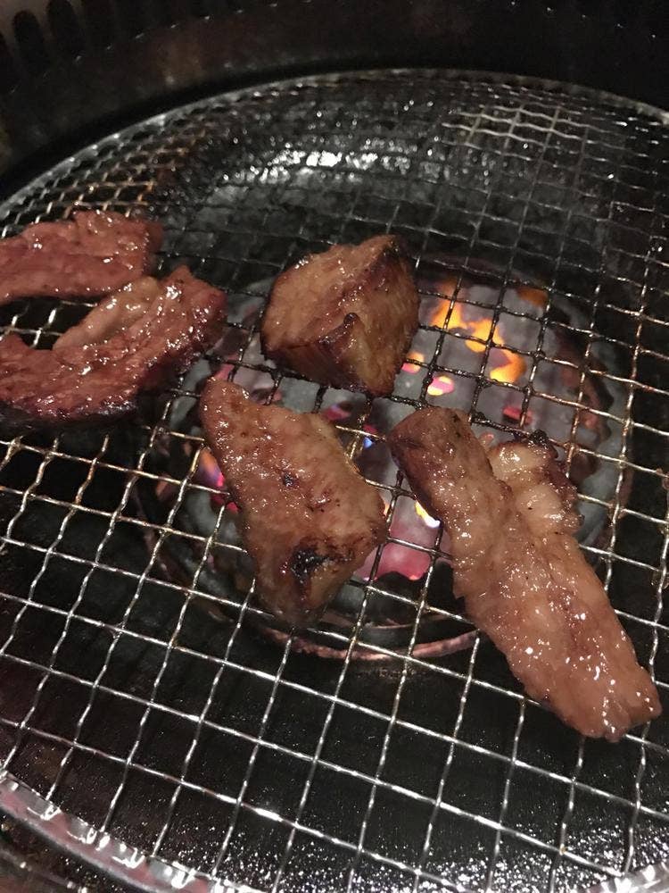 芦苑
