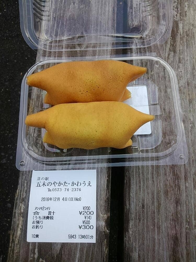 道の駅五木のやかた