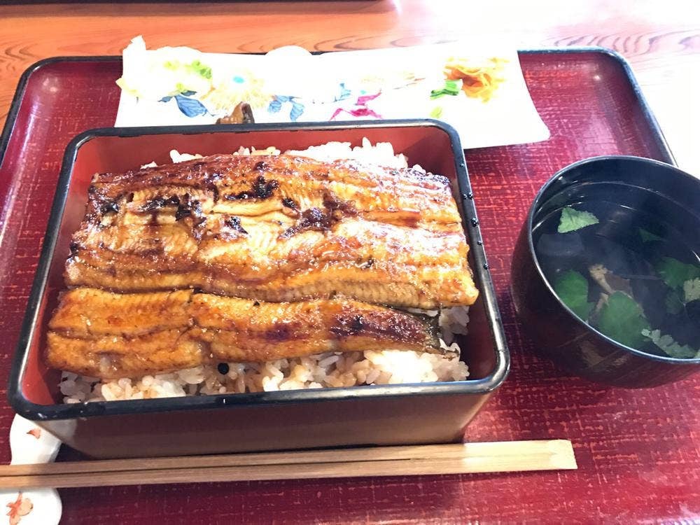 うな菊