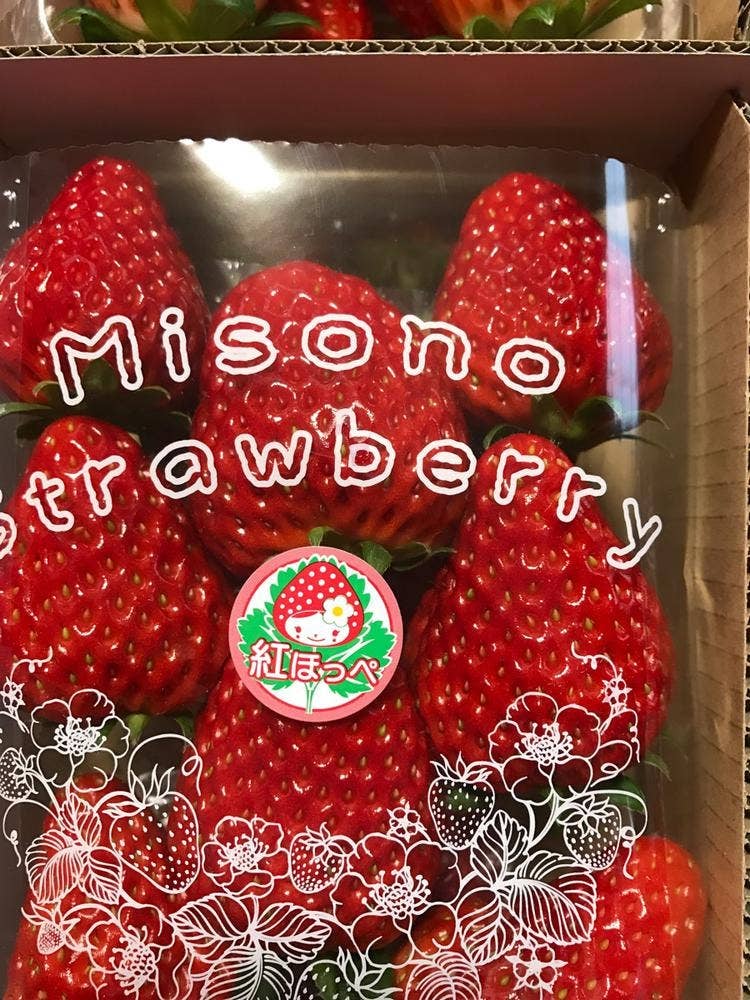 美園いちごランド