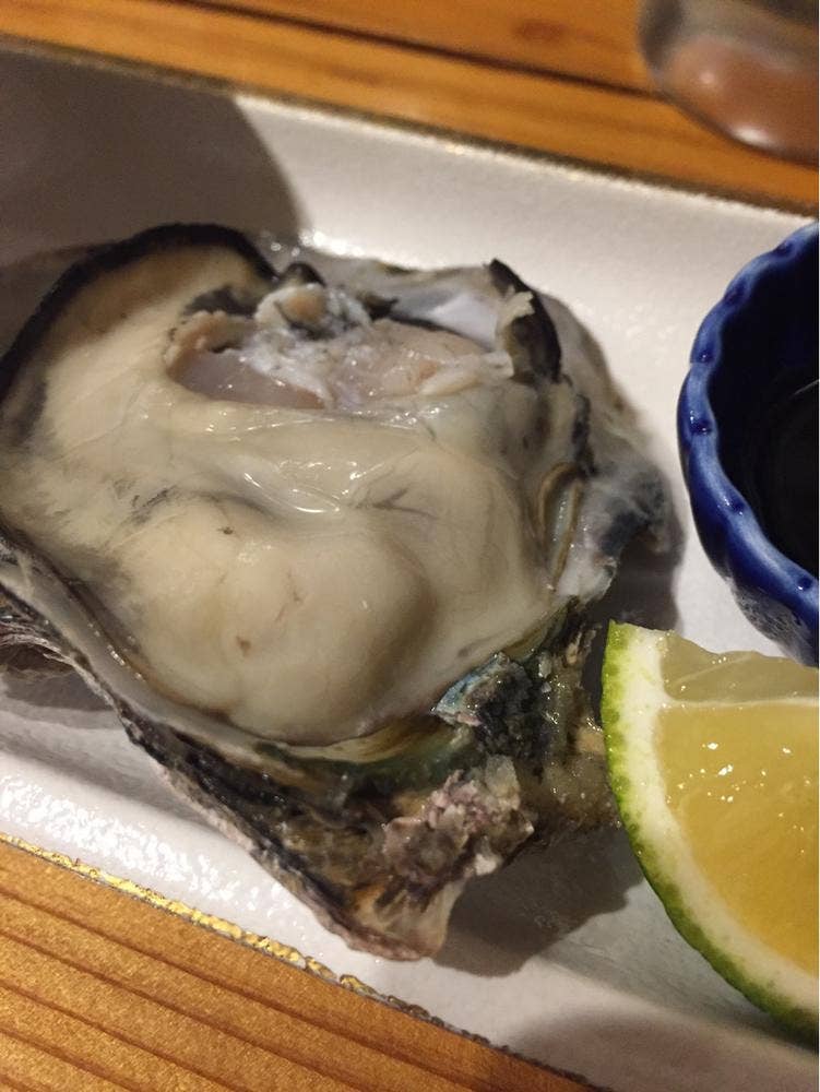 馳走まさ木