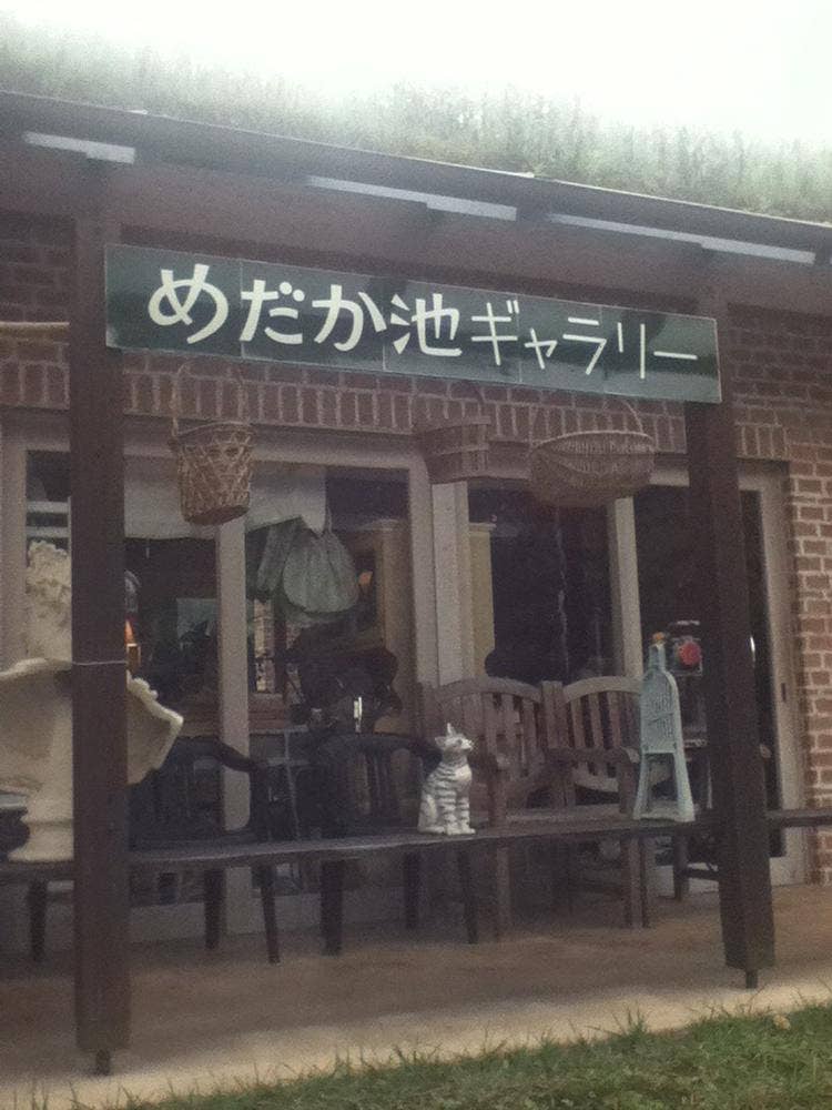 めだか池ギャラリー