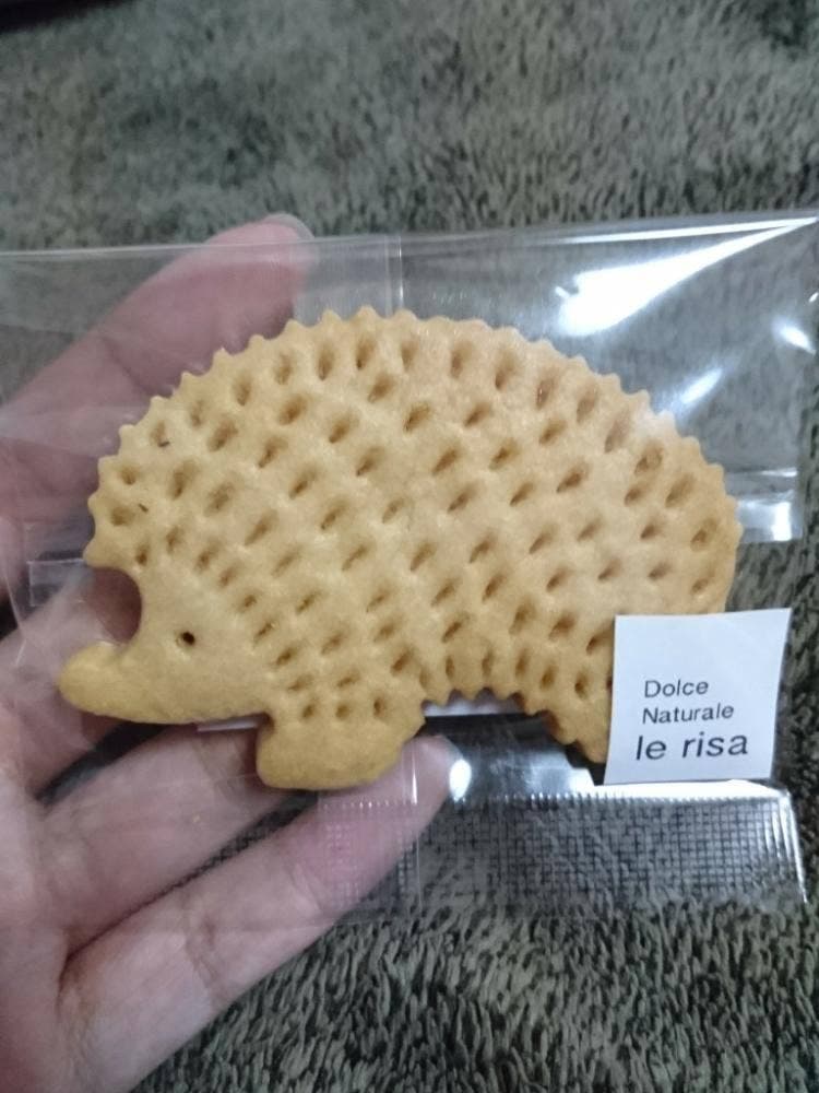 レリーサ