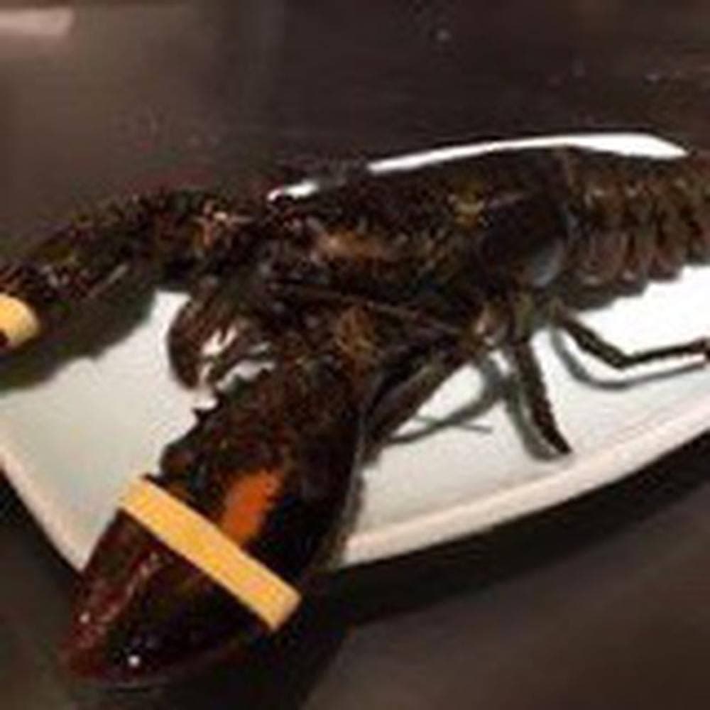鉄板焼石田