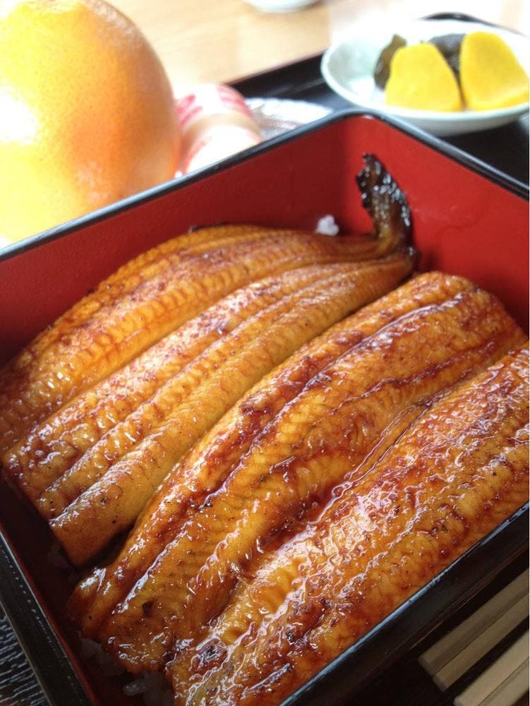 うなこう