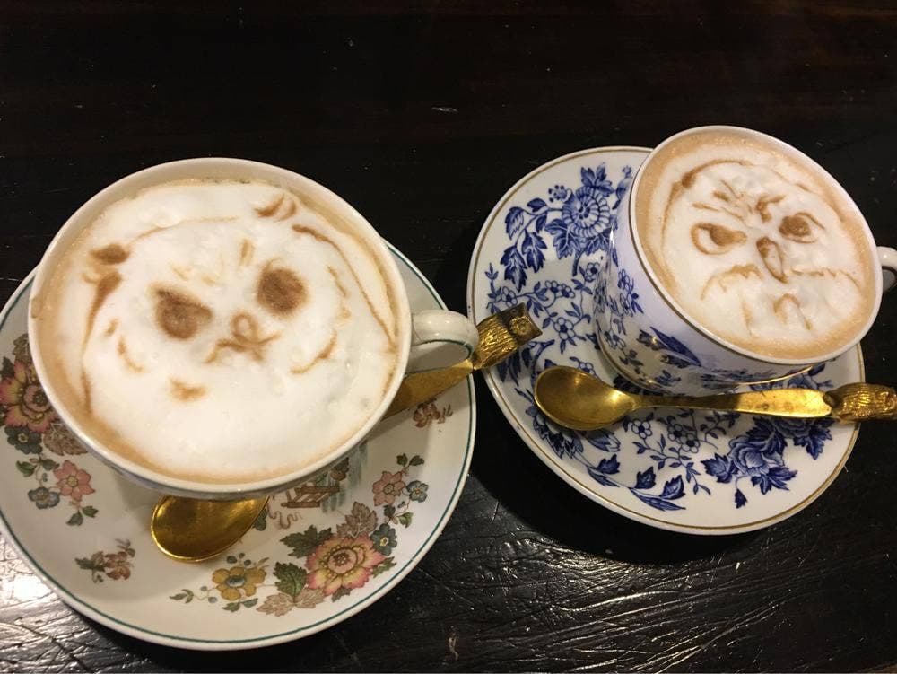 パクチーバル8889