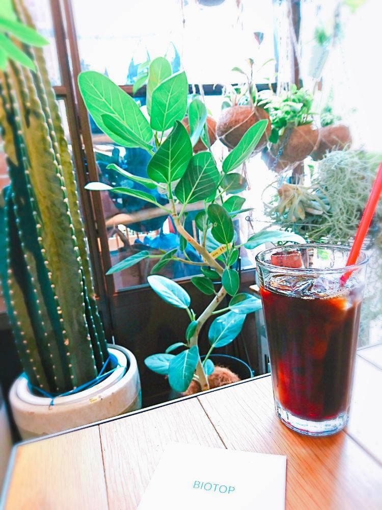 ビオトープコーナースタンド