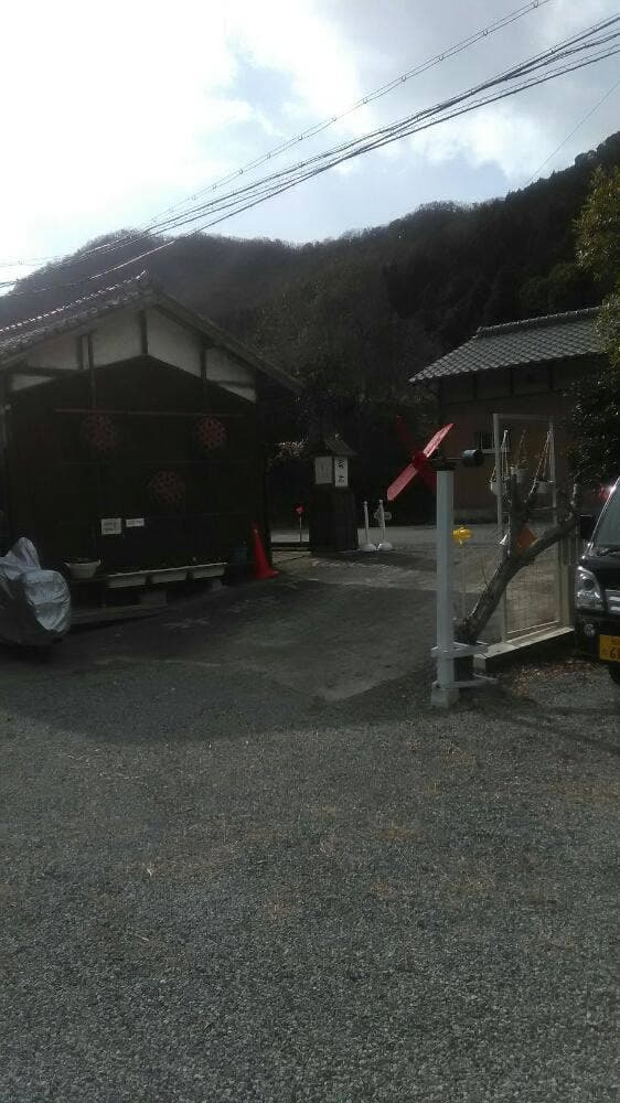 楽木