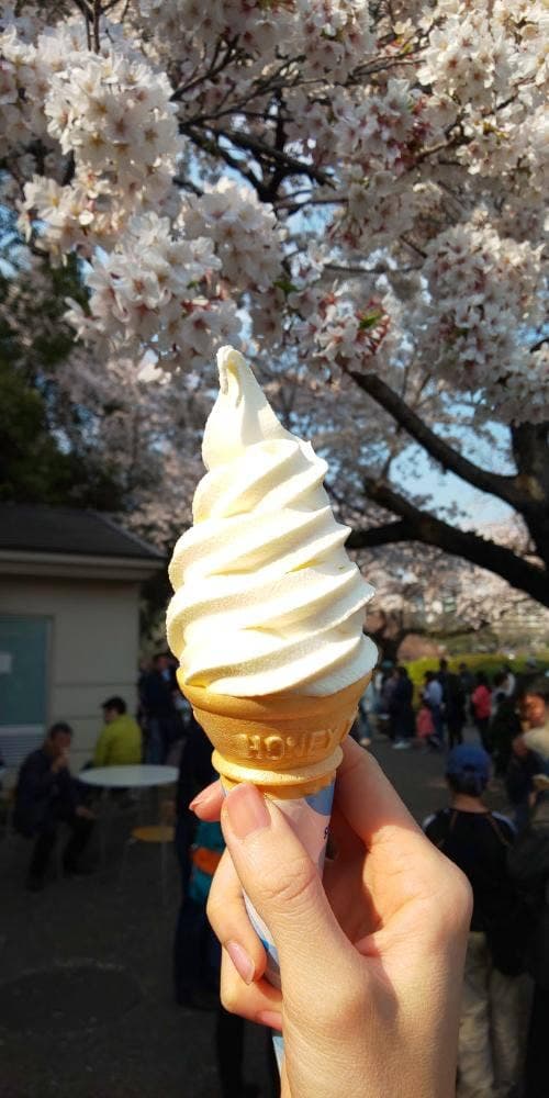 カフェはなのき 新宿御苑