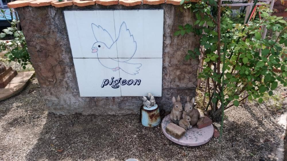 cafe′ Pigeon