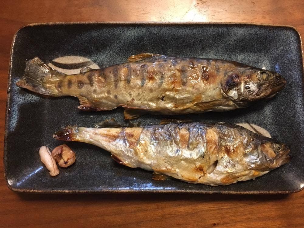 那須フィッシュランド