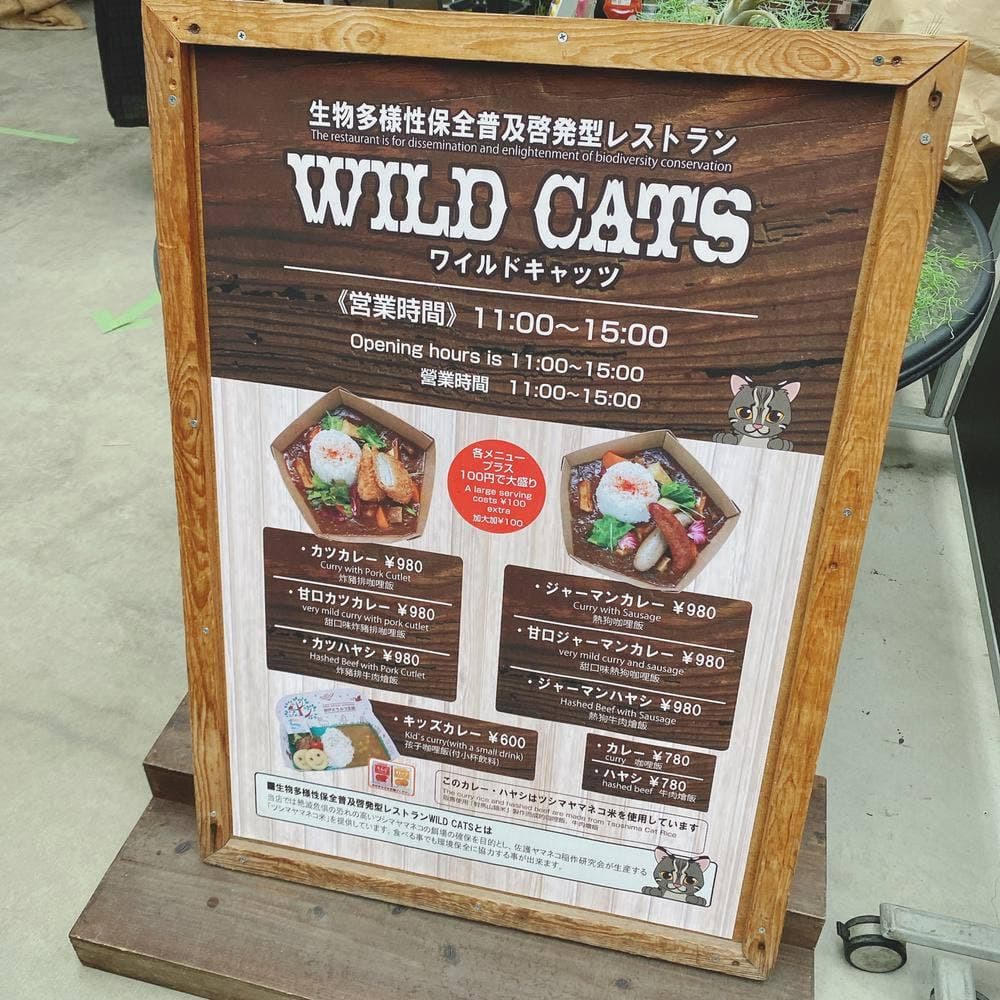WILD CATS 神戸どうぶつ王国