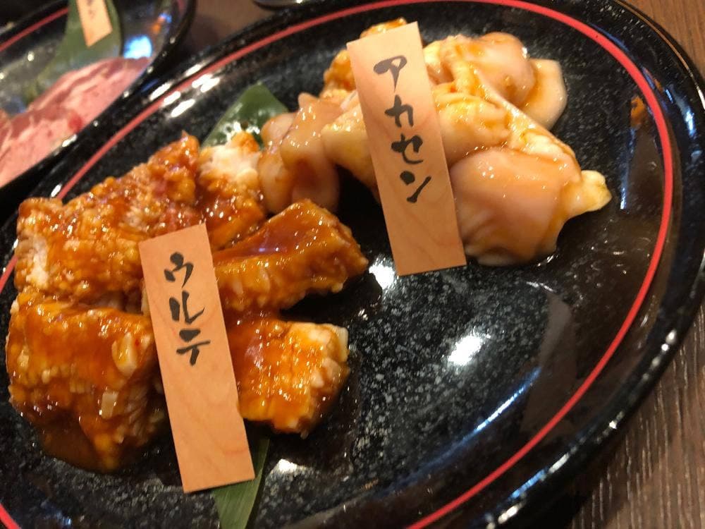 和泉府中酒場情熱ホルモン