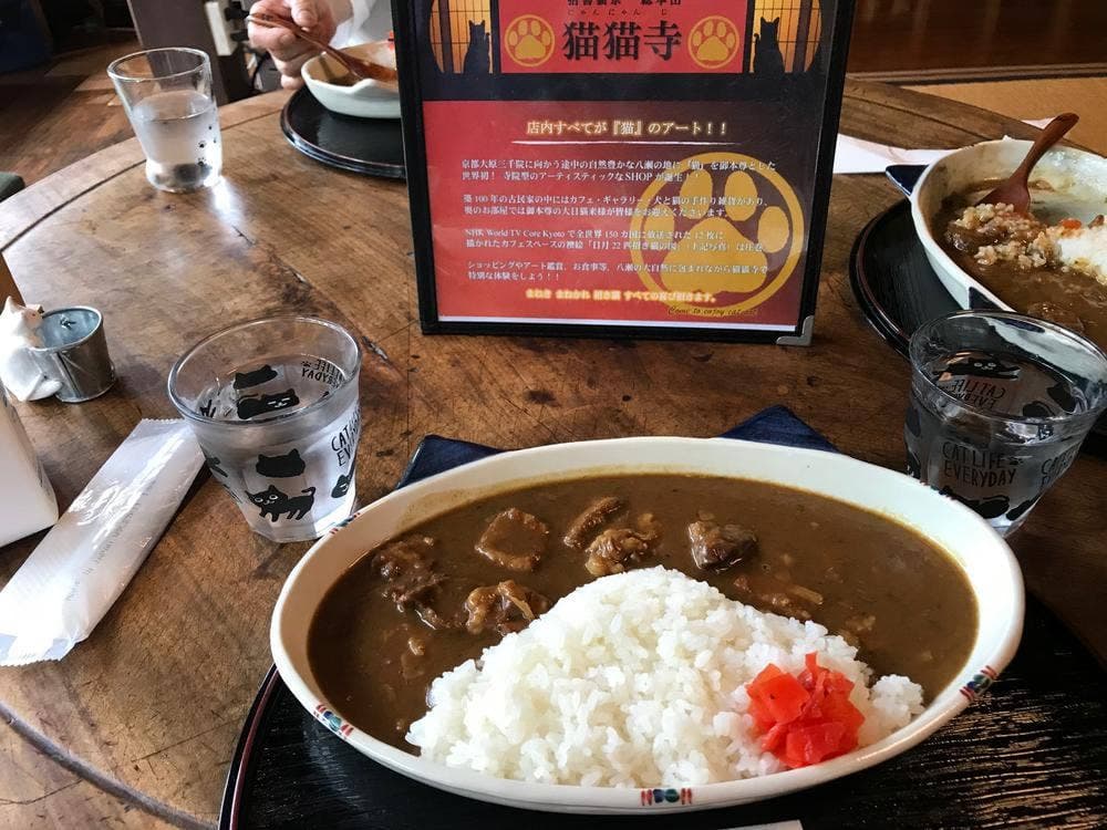 猫猫寺 cafe