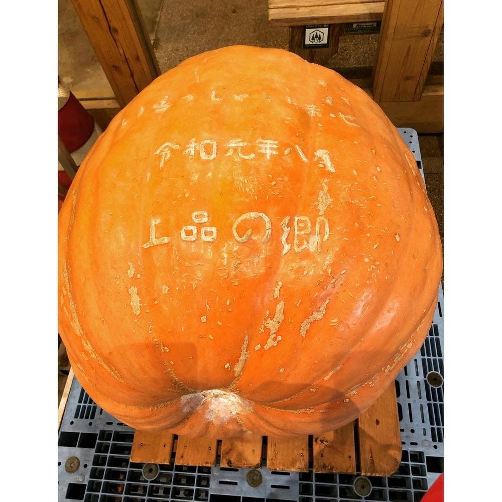 ふたごの湯 売店 道の駅上品の郷