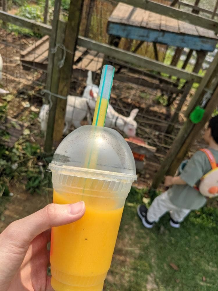 宮古島熱帯果樹園 まいぱり カフェ&ショップ