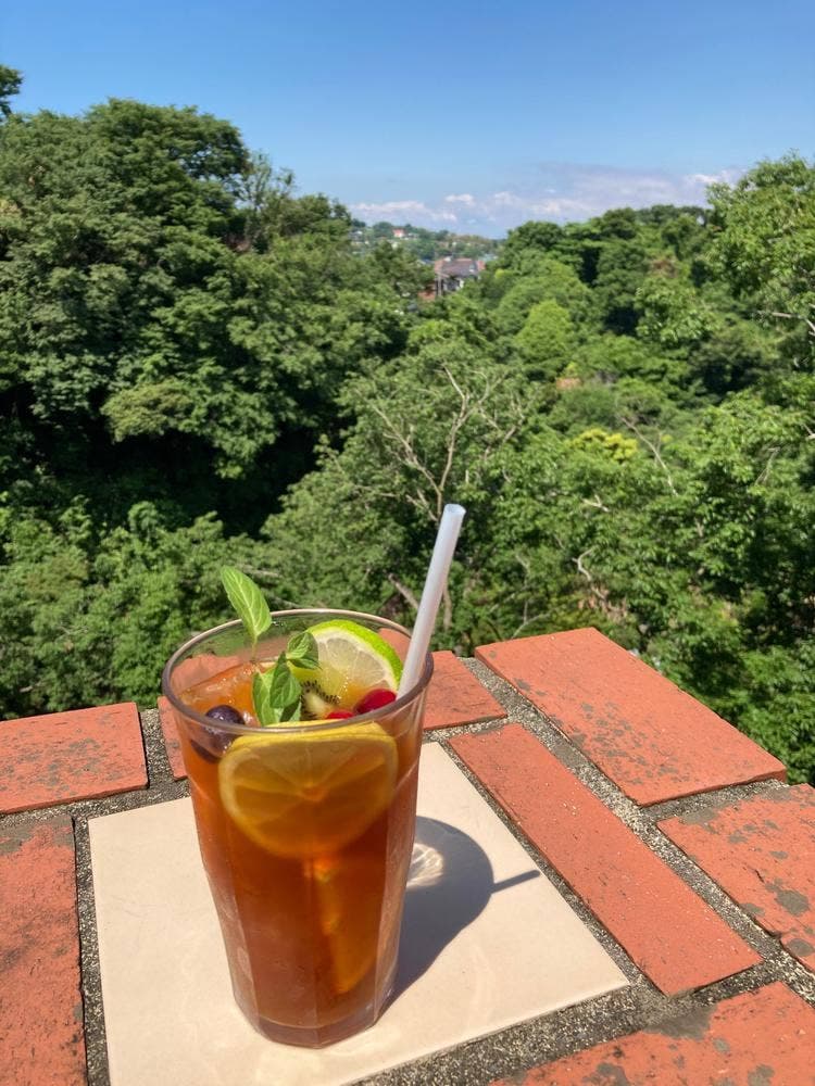 カフェテラス 樹ガーデン