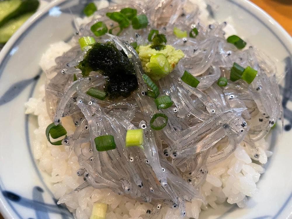 地酒 地魚 用宗港おおいし
