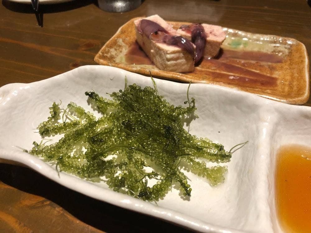 倉ん家