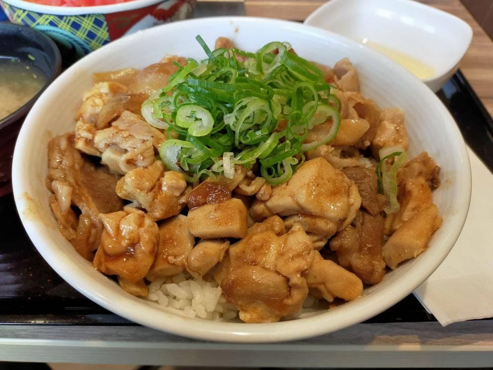 吉野家 パビリオン成田店