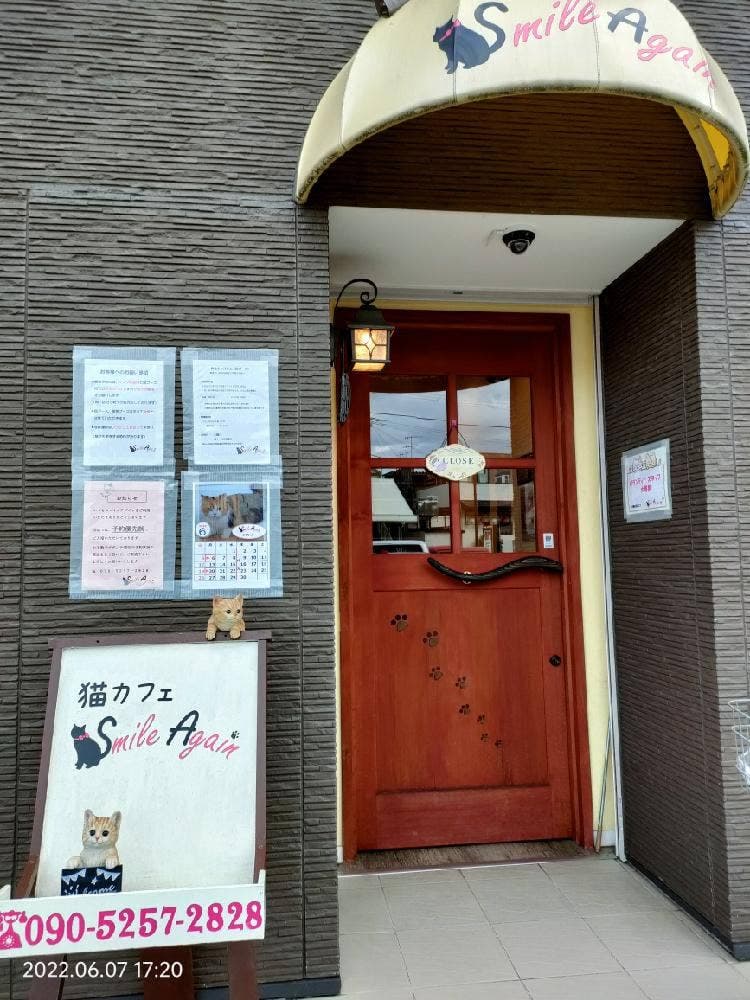 猫カフェ スマイルアゲイン