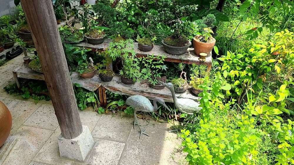 そば処 のりとう