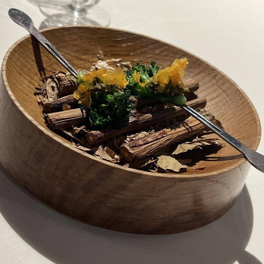 MUNI ALAIN DUCASSE