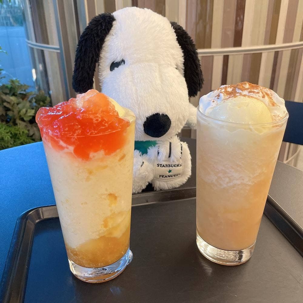 スターバックスコーヒー 六本木ヒルズ メトロハット ハリウッドプラザ店