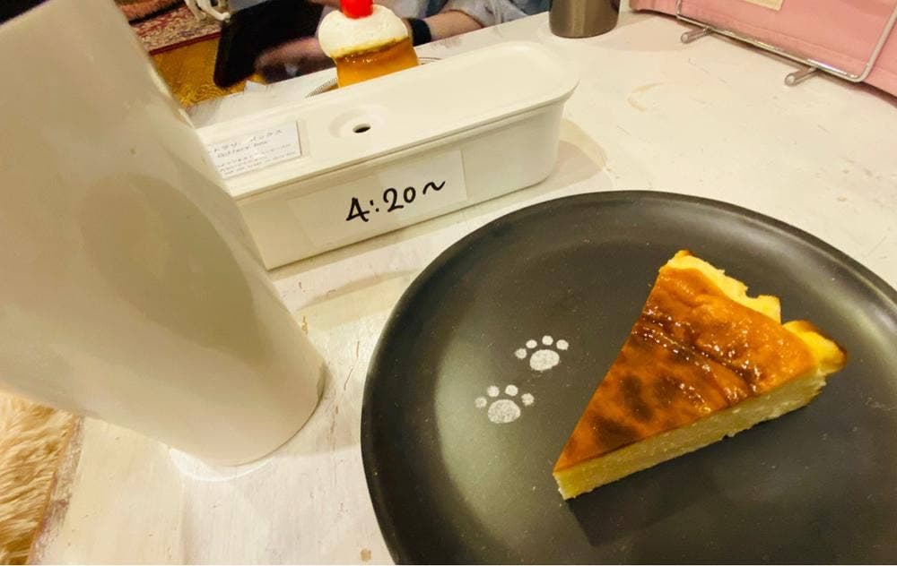SAVE CAT CAFE