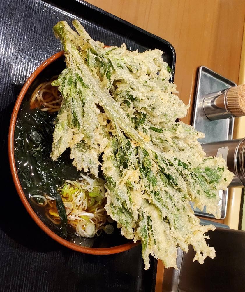 名代 富士そば 三光町店