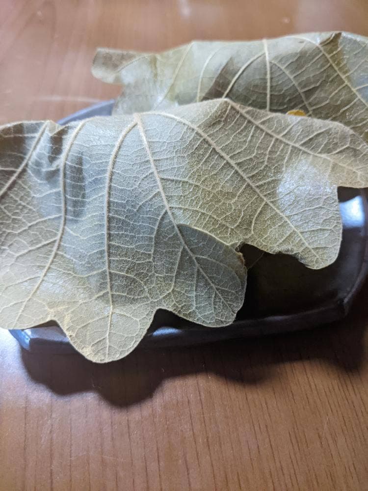 旬彩游菓 立花家