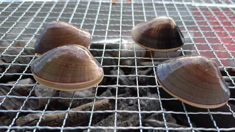 築地魚河岸 浜焼きBBQテラス